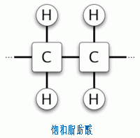 饱和与不饱和脂肪酸顺反结构图