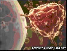 艾滋病毒融合的T细胞