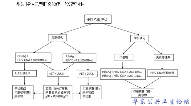 附3、慢性乙型肝炎治疗一般流程图