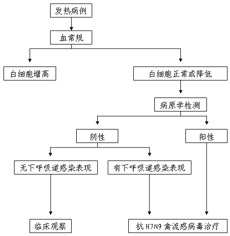 H7N9禽流感早检早治流程图