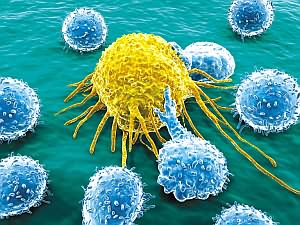 癌细胞真能被“饿死”？A