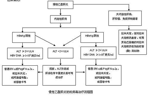 乙型肝炎肝病毒治疗流程图