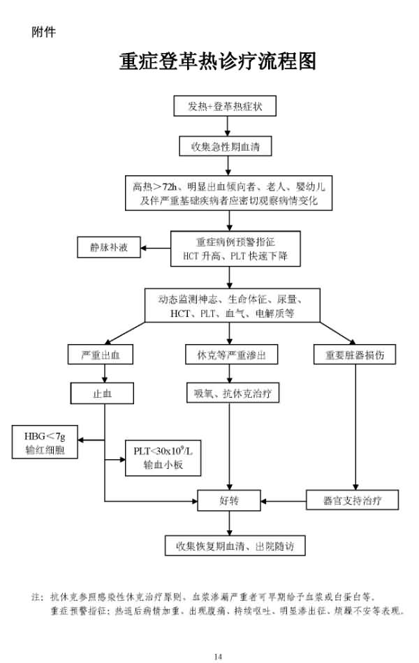 重症登革热诊疗流程图