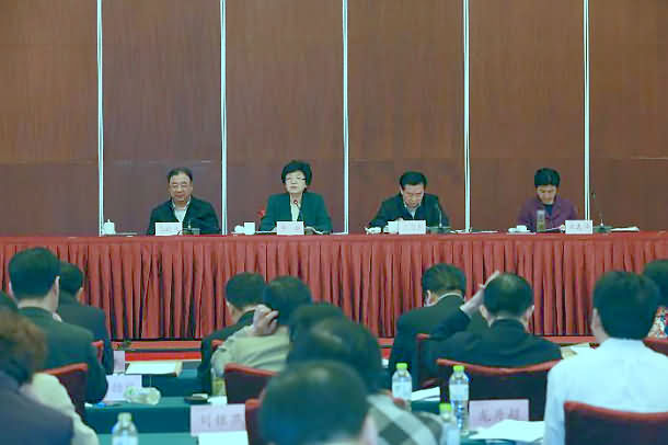 全国农村基层卫生工作会议在武汉召开（2015）