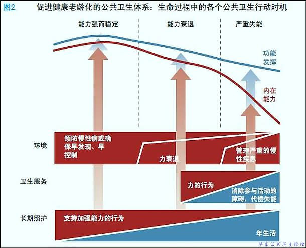 生命过程中的各个公共卫生行动时机