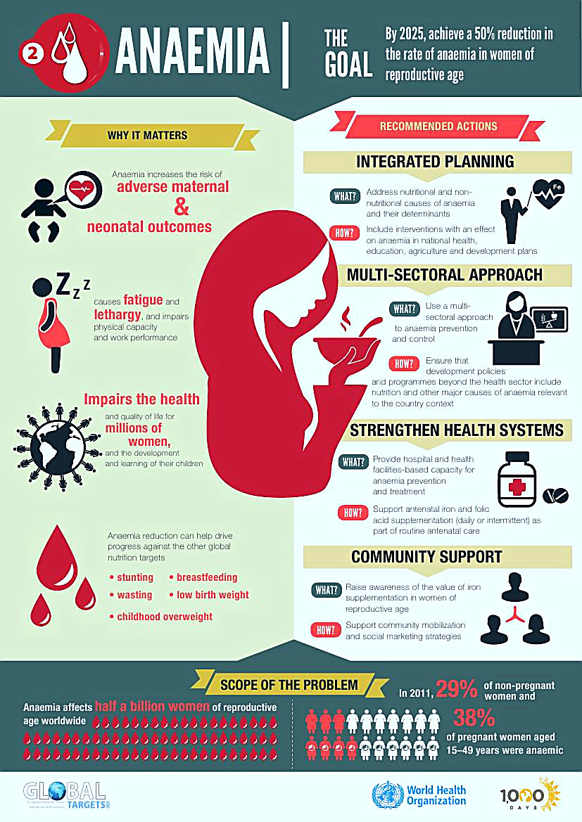 Anaemia infographic