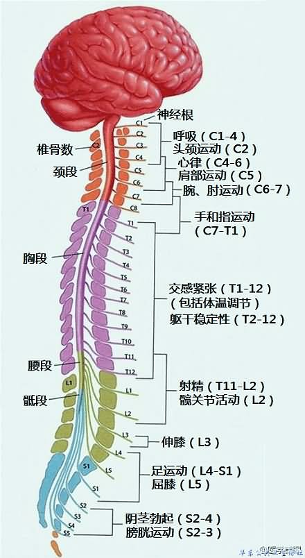 sj17