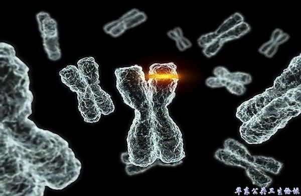 一年内每天一包烟导致肺细胞150次基因突变