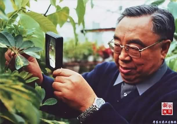 黑龙江省中医药科学院主任医师张琪获得“白求恩奖章”