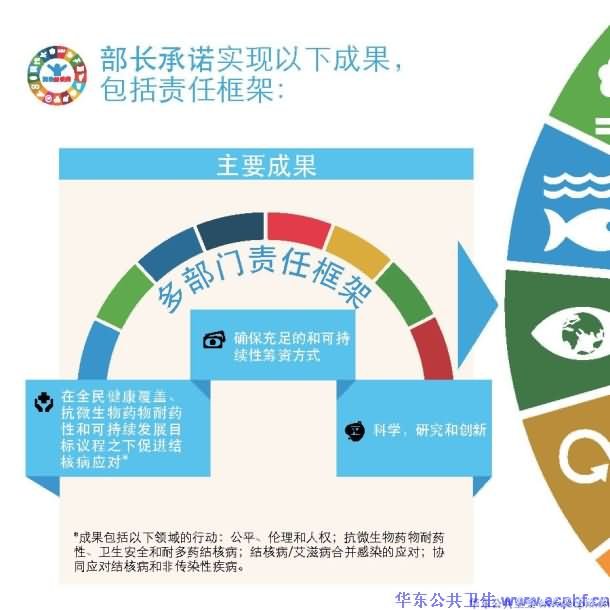 在可持续发展目标时代终止结核病：多部门应对4