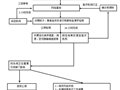 依法科学精准做好新冠肺炎疫情防控工作