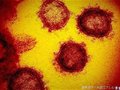 英国因新型冠状病毒病亡者超过29000人，成为欧洲之最