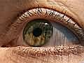 初步研究说，通过看红光可以改善视力下降