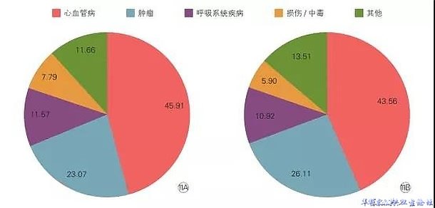 2017年中国农村居民（A）和城市居民（B）主要疾病死因构成比（%）