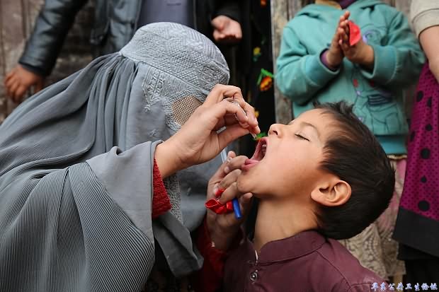 Fact 8 Polio vaccination Small boy receives an oral polio vaccine