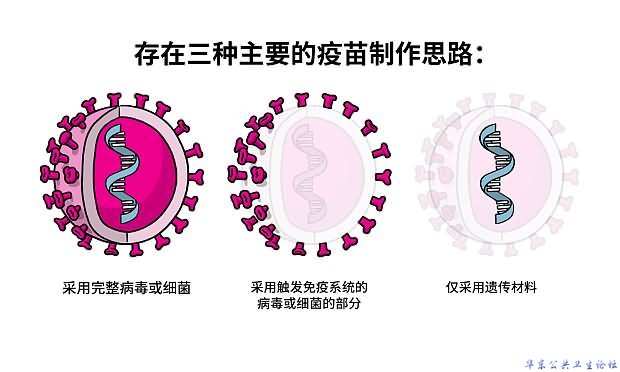 三种主要的疫苗制作思路